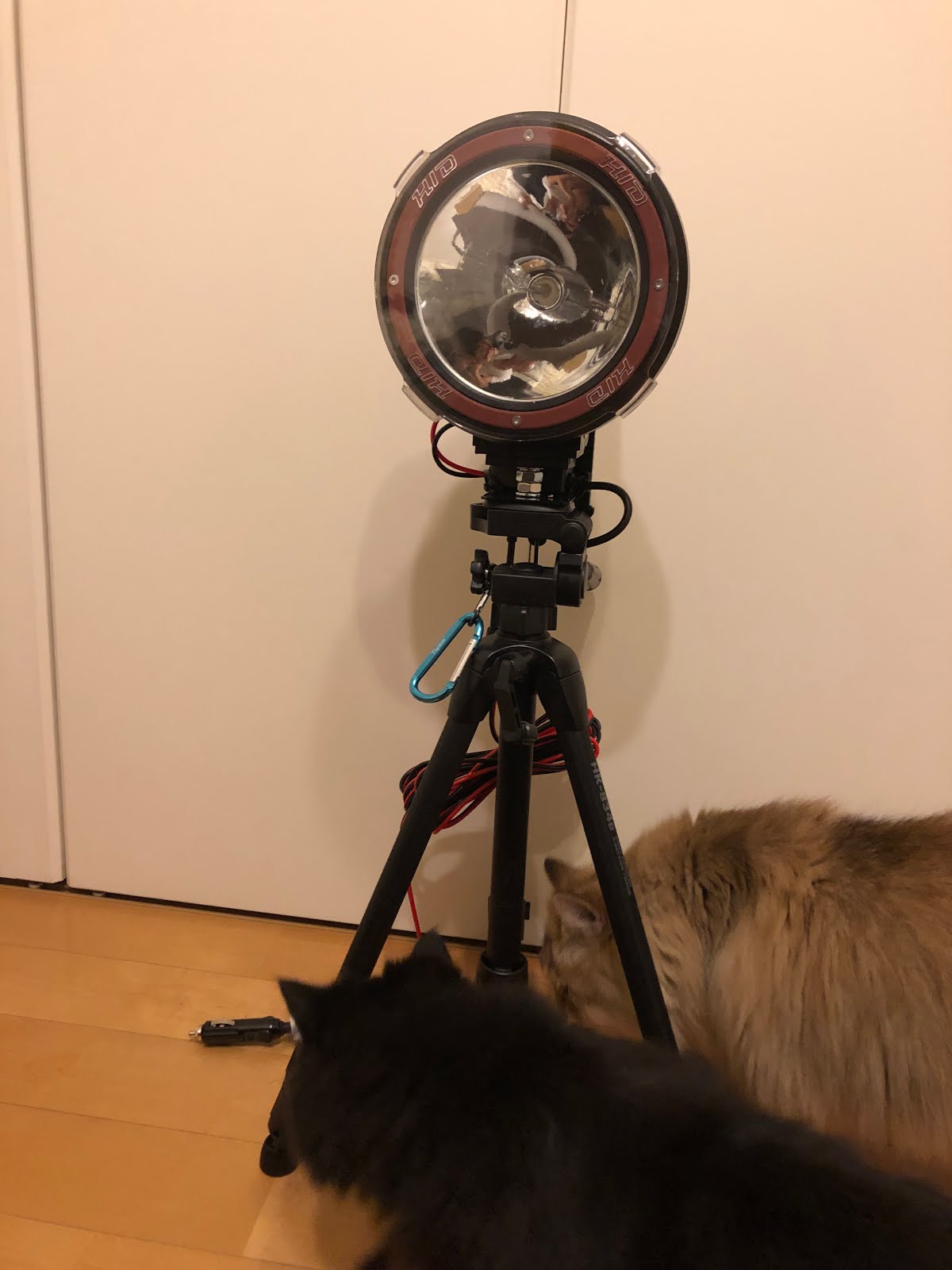 灯火採取 今峰HIDライト☆ ジェロムです☆ backend=imagemagick;version=1;