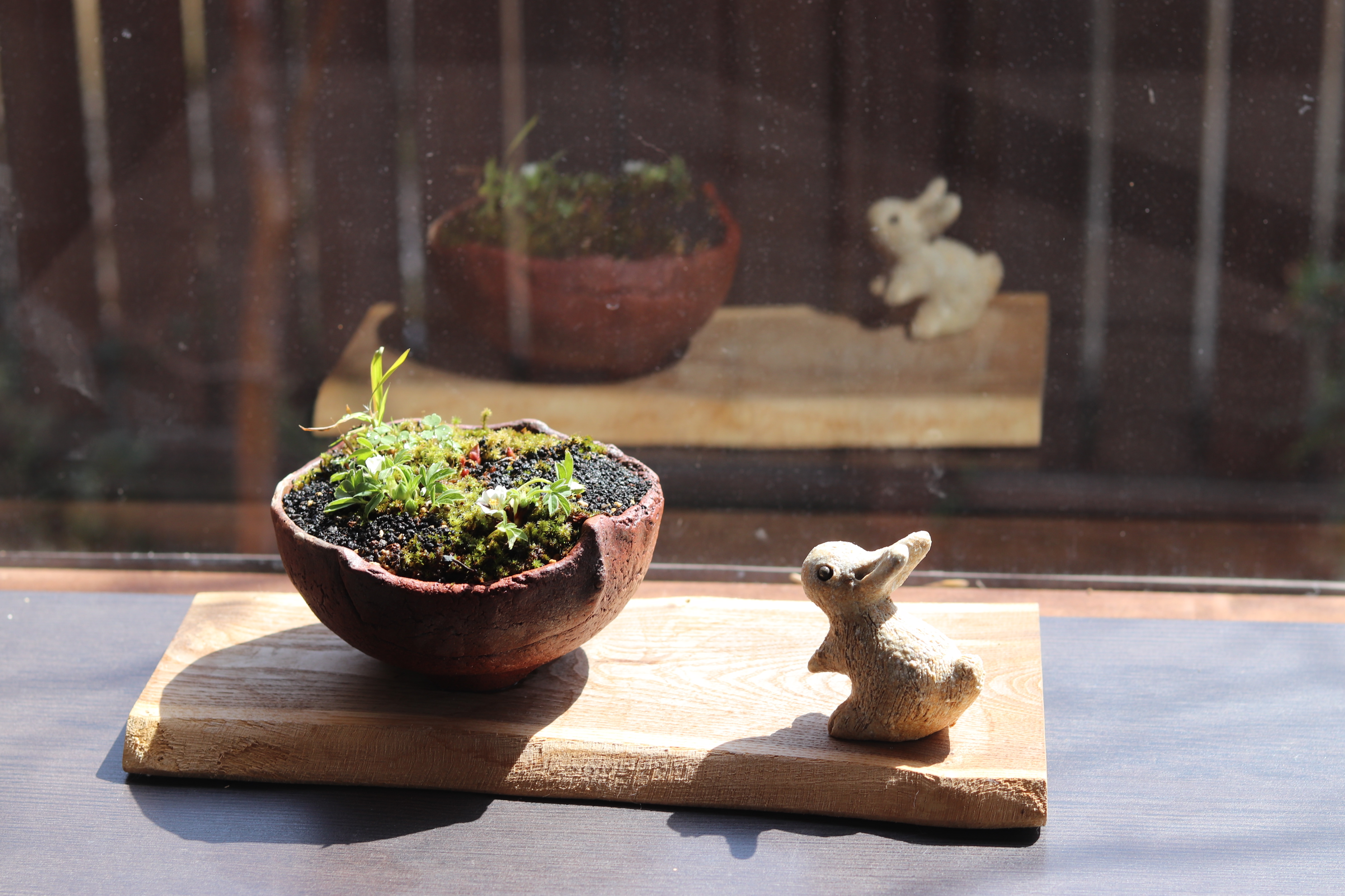 長方渾円広口鉢 紫砂の鉢盆栽鉢 植木鉢 小品盆栽鉢 大品盆栽鉢 長方鉢