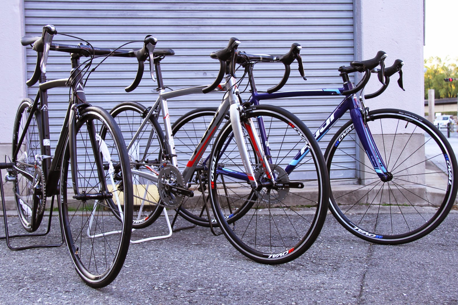 富士の輝き ◾️Fuji様専用です 富士の輝きさま専用 新無処理