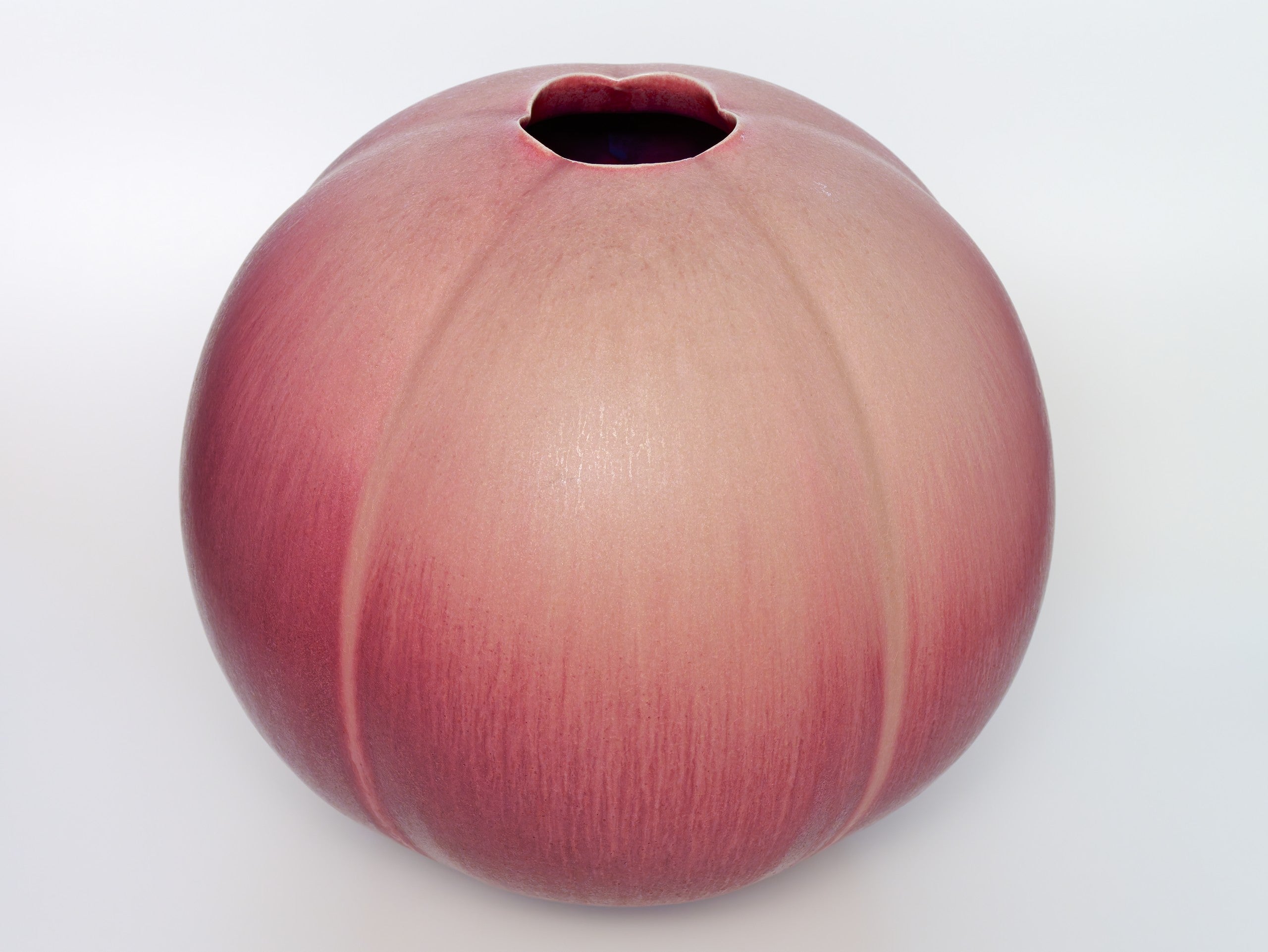 新着作品 – BloomJapan