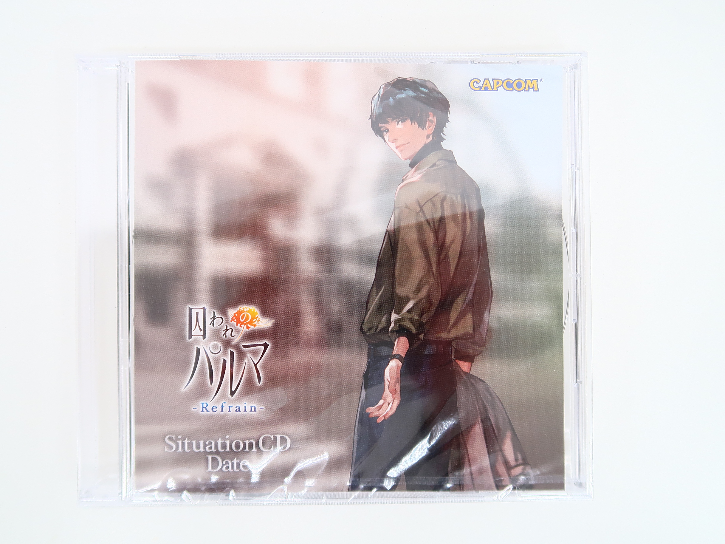 囚われのパルマ ハルト クリアファイル 囚われのパルマ ハルト アオイ