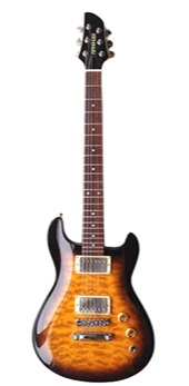 FERNANDES APG 100 24F仕様 FERNANDES APG 100 24F仕様 Fernandes