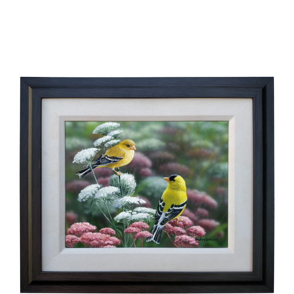 Bradley Jackson | Wildlife Artist