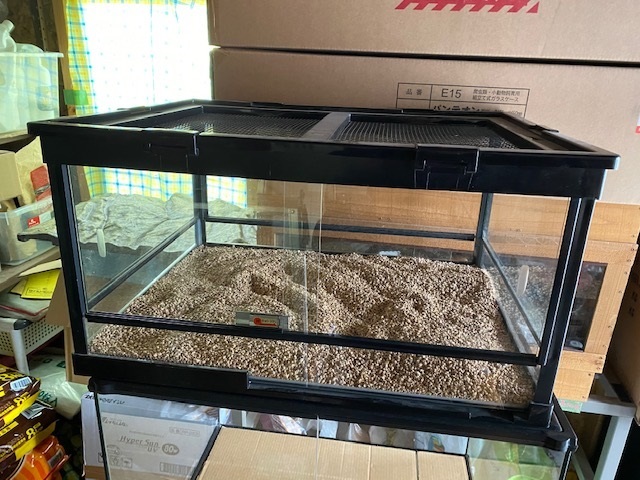 爬虫類ケージ ケースバイケース60 ケースバイケース 60 ケースバイ