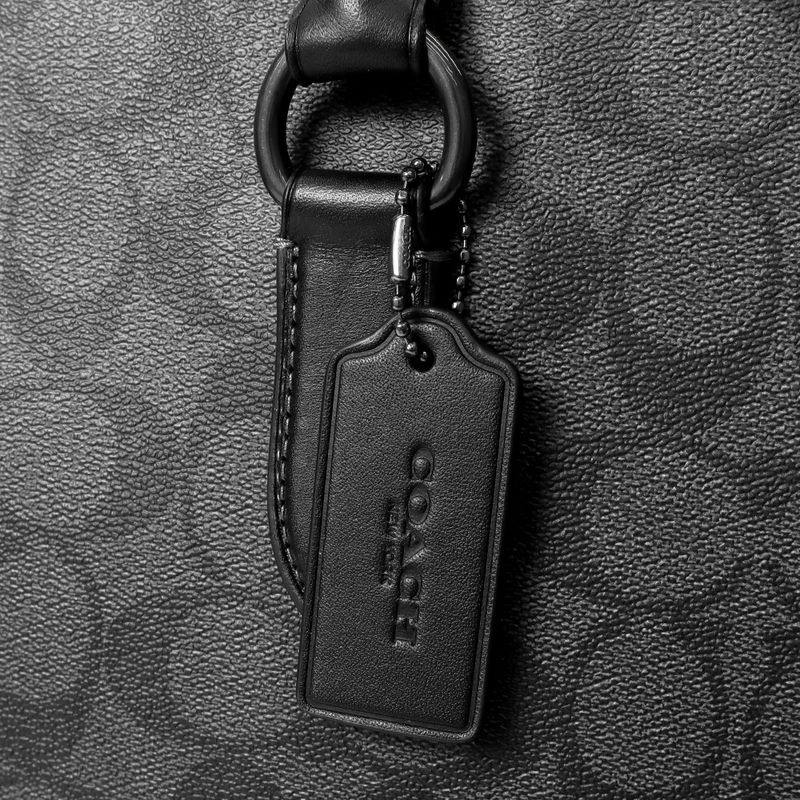 Brandol / COACH コーチ ショルダーバッグ シグネチャー ディラン 2way