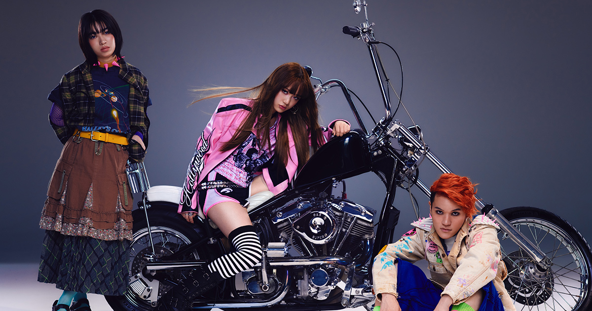 ブランデー戦記 Official Web Site | BIOGRAPHY