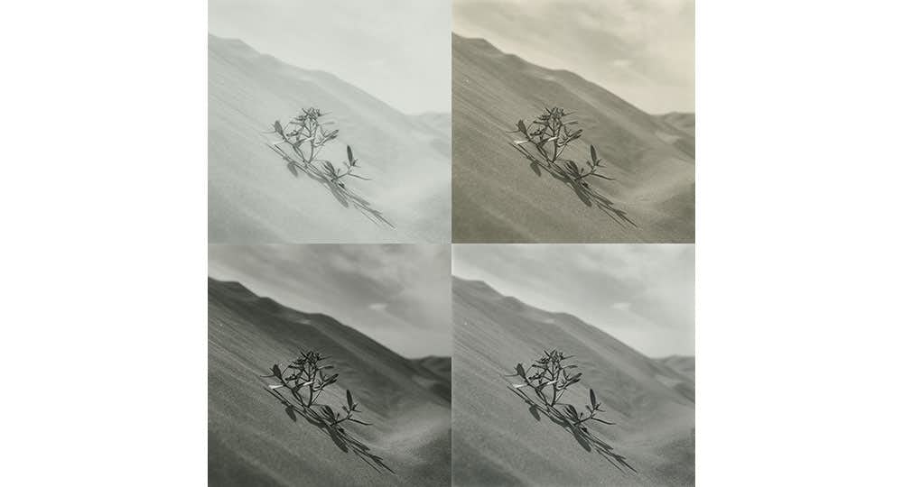 ゼラチンシルバーセッション（フジフイルム スクエア）｜美術手帖