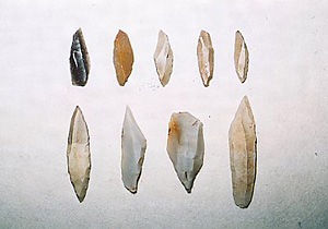 尖頭器 文化遺産オンライン