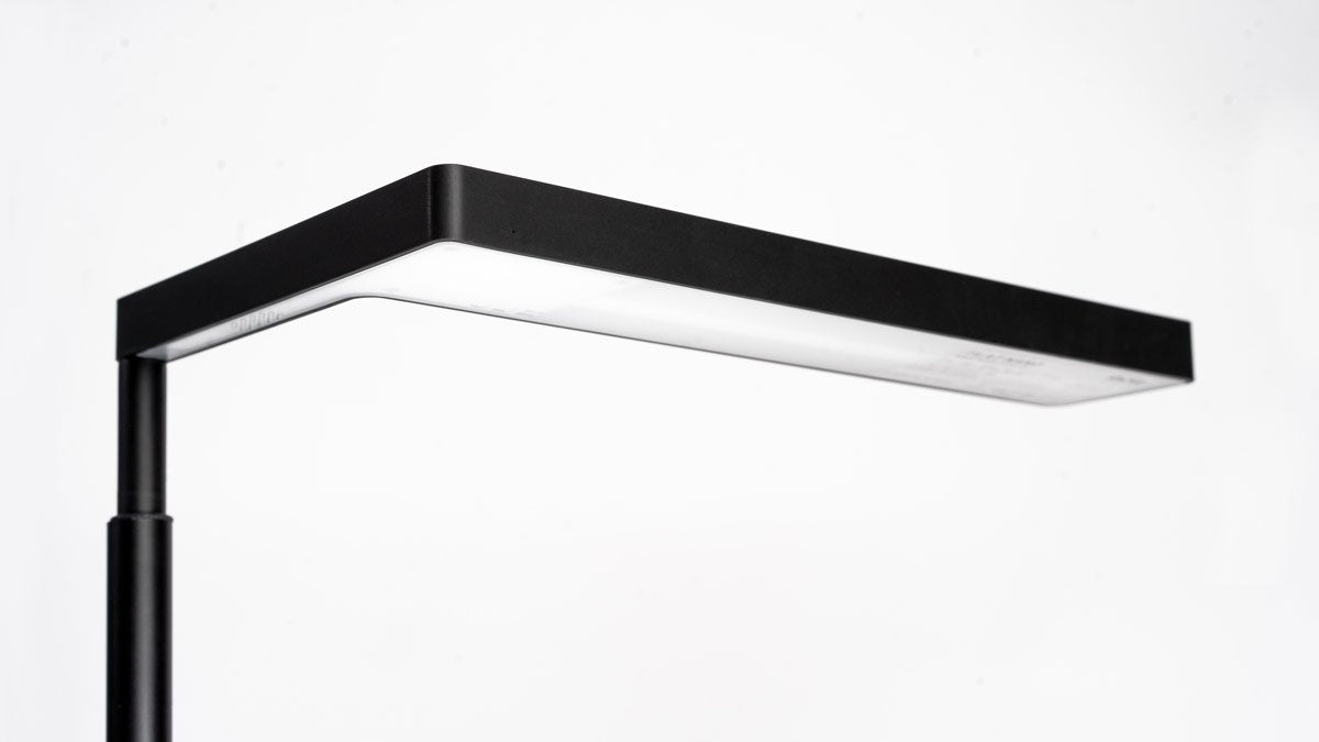 ONF Flat Nano Stand Aquarium LED Light — Buce Plant