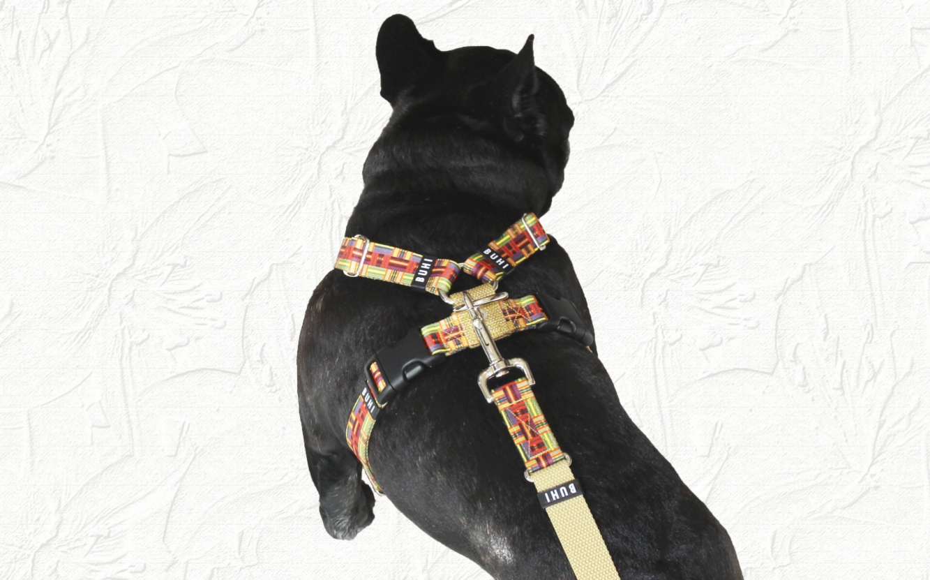 プリントBUHIコラボハーネス of フレンチブルドッグ服 ハーネス 首輪