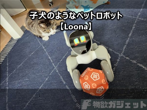 Loona（ルーナ)レビュー】表情豊かで感情表現ができ、飼い主を追いかけ