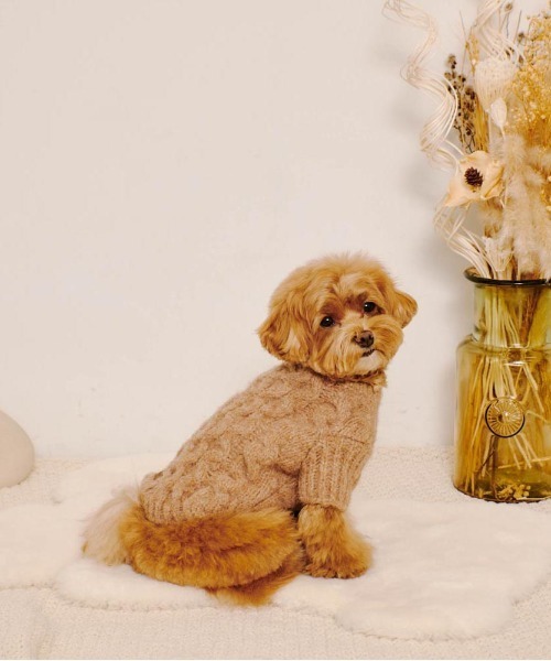 moncheri（モンシェリ）の「【リンクコーデSET】ケーブルドロップ