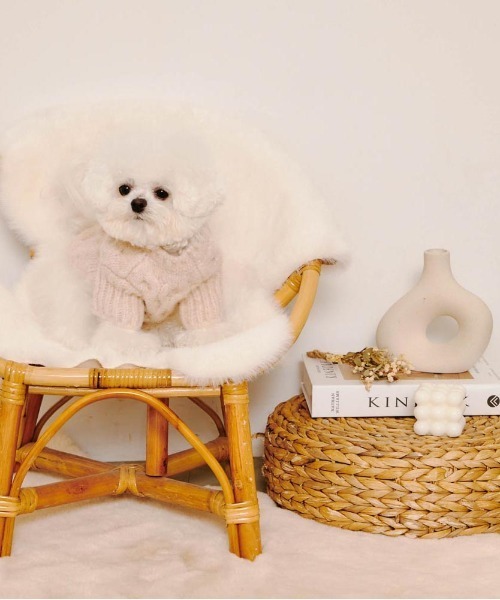 moncheri（モンシェリ）の「【リンクコーデSET】ケーブルドロップ