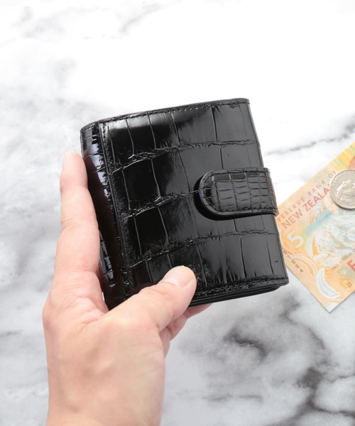 ALK169 佐々木経二 烏瓜 (実) F6号 真作 額装 共箱