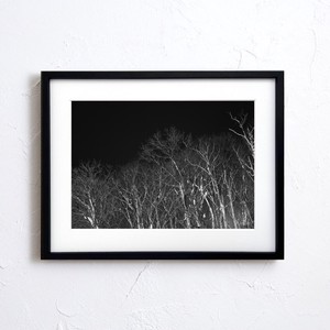 アートポスター】写真 日本 風景景色 自然 モノトーン photo japan