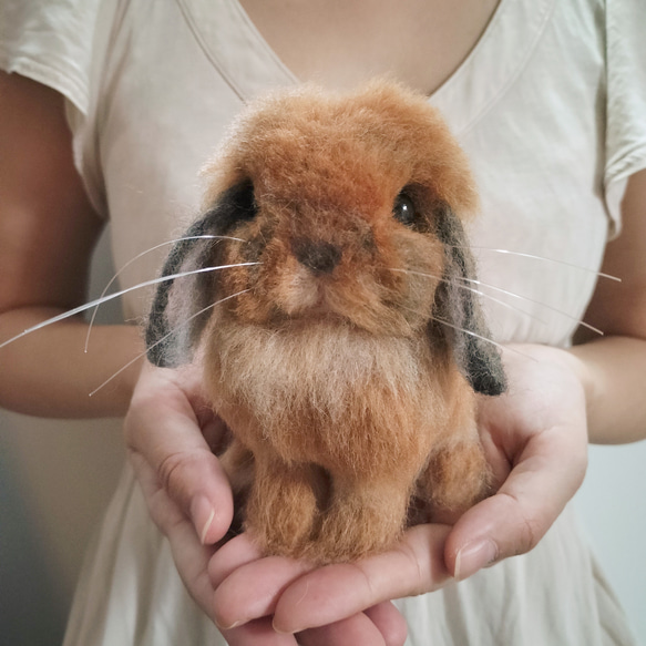 羊毛フェルトリアルうさぎ お座りホーランドロップ(トータス) 羊毛