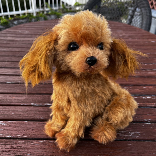 テディドッグ】オーダートイプードル（茶色） ※モヘア生地はプラス価格