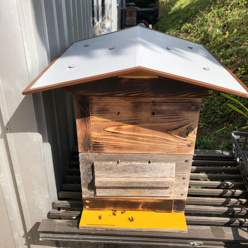 日本蜜蜂 重箱用 屋根 29cm用 ニホンミツバチ ハウス・小屋 まめしば