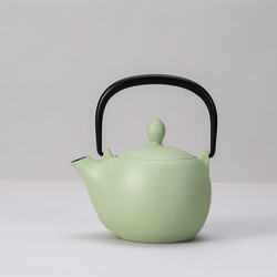 公式】岩鋳 南部鉄器 ポスト型貯金箱 その他インテリア雑貨 IWACHU