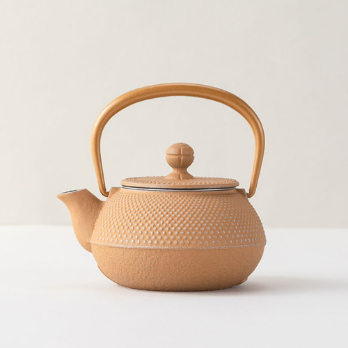 公式】岩鋳 南部鉄器 急須 3型アラレ（銀／ベージュ） ポット・急須