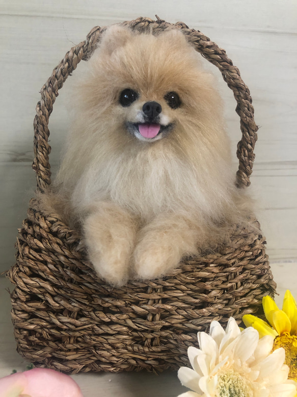 羊毛フェルト にこにこポメラニアン 送料無料 羊毛 伏せをする
