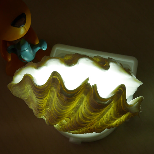 シャゴウガイ(シャコ貝)約30㎝ 石垣産 自然採取 漂白済み 特大美品 超