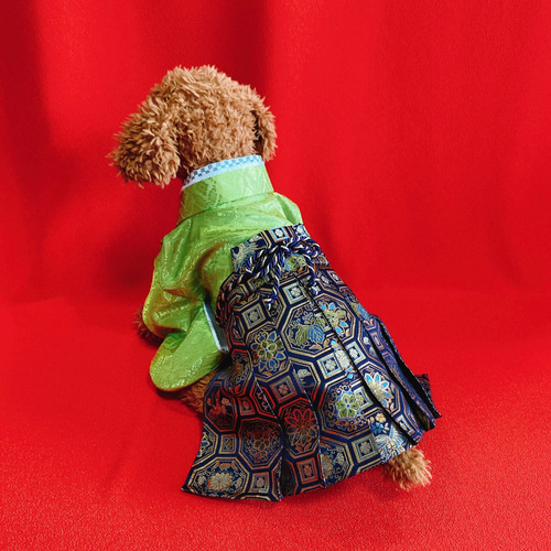 犬の袴✨犬用本格着物&袴セット 若草色×紺系