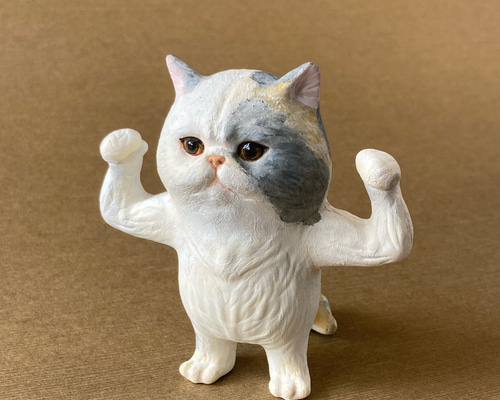 333f5e0b0405bed825468a73269f09