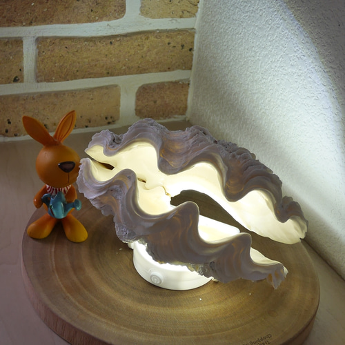 希少! 宮古島産 シャコ貝 単品 Sサイズ 素材販売 プランター 花器 貝殻