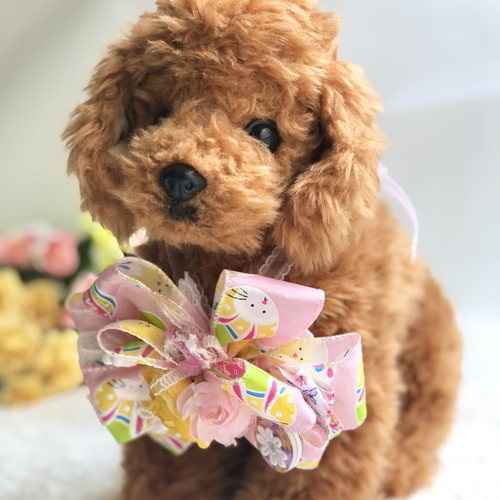 背景布【秋C】サンプルペット撮影用紅葉イチョウトリミングチョーカー