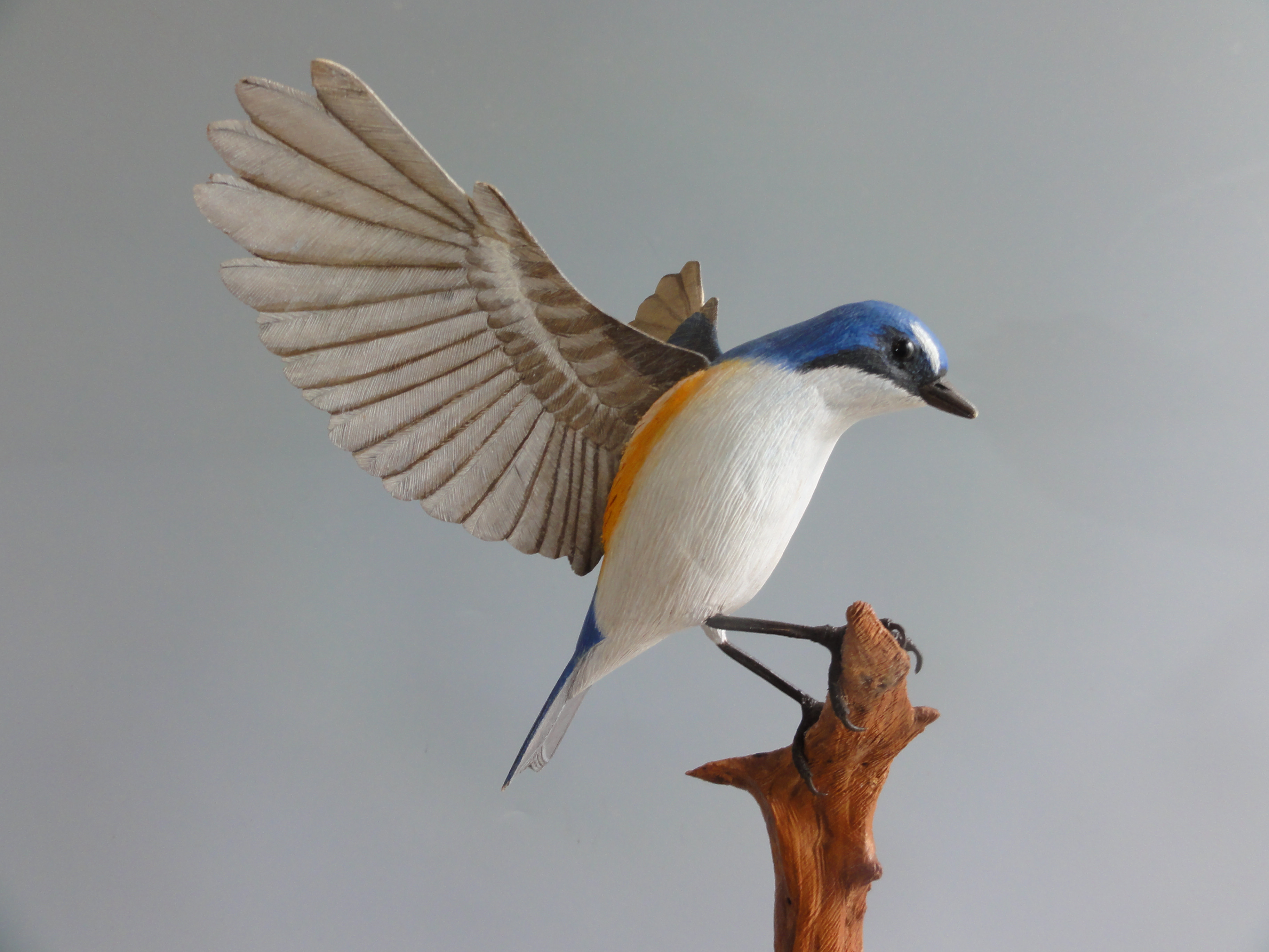 アトリのバードカービング バードカービング・トラツグミ・木の鳥 彫刻