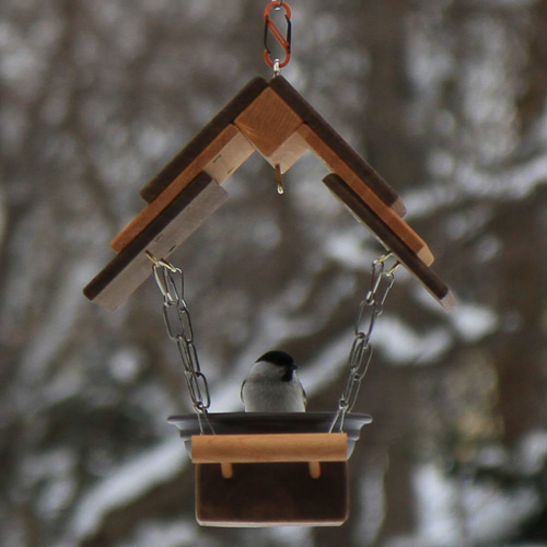 ことりのカフェ バードフィーダー 4本吊り 屋根巾18cm 中サイズ 各色
