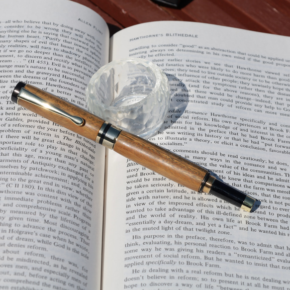 世界一重い木・生命の樹】リグナムバイタのボールペン CPE5014 ペン