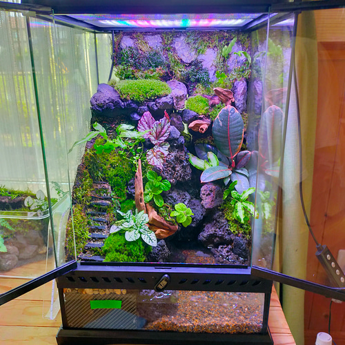 エキゾテラ グラステラリウム 3045 流木付きエキゾテラ グラス