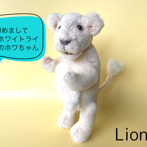 ホワイトライオンの赤ちゃん(26cm) ぬいぐるみ kmariko 通販 15937656