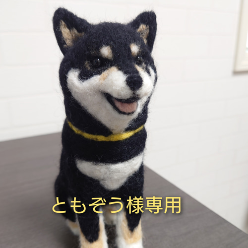 柴犬羊毛 羊毛フェルト ハンドメイド 黒柴 羊毛フェルト allenkuro48