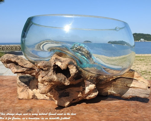 流木ガラス オブジェ バリ島 花瓶 金魚鉢 メダカ水槽 テラリウム