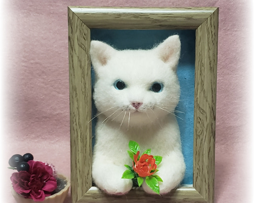 aa30031c75761480897b8fce260e8a