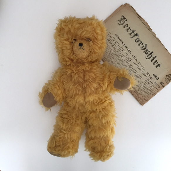 2025年最新】Yahoo!オークション -くま ブラウン ぬいぐるみの中古品