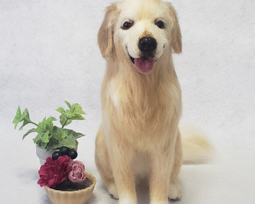 d6298dd12c5d26b9bc0796fc4898a2