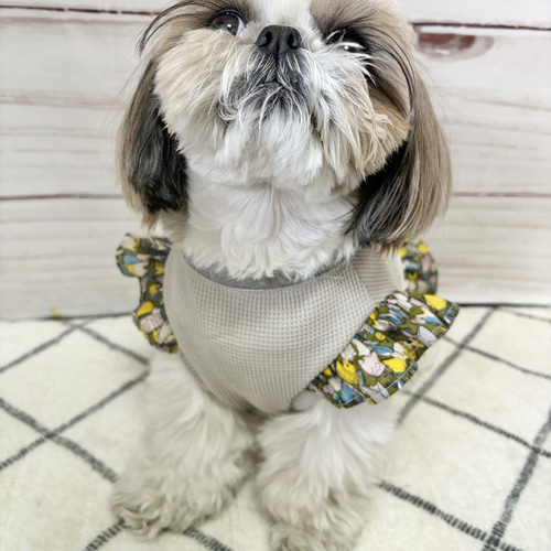犬服 大人っぽ♡花柄ワンピース ペット服 わんこ服 シーズー トイ