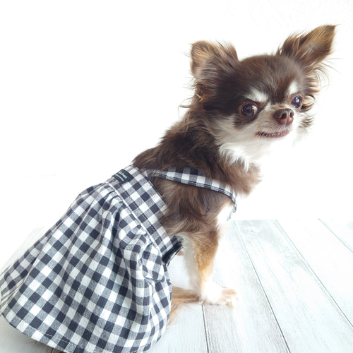 小型犬用 ♡ 春夏犬服 ♡ ギンガムチェック ♡ シンプルなワンピース