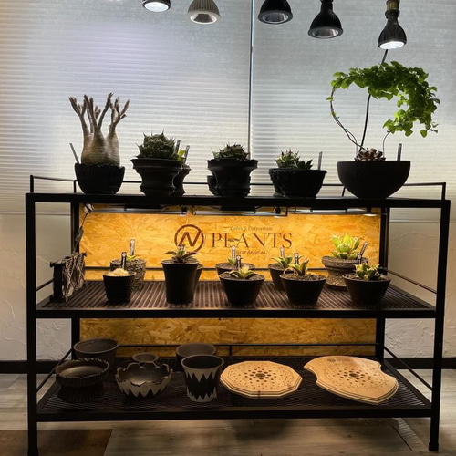 ☆送料込み☆アイアンシェルフ即購入OK 植物棚 ボタニカルシェルフ