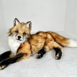 アートドール アカギツネ 狐 キツネ ハンドメイド 海外作家様 リアル