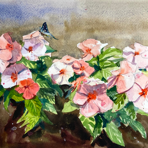 草花 絵画 水彩画】原画「 ニチニチソウ」F4：242×332 mm #花 #flower