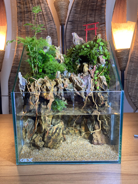 受注生産】 アクアテラリウム イモリウム 苔テラリウム テラリウム