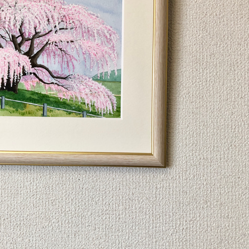 透明水彩画 原画 「春爛漫01」額縁付 F4サイズ 風景画 透明水彩画 原画