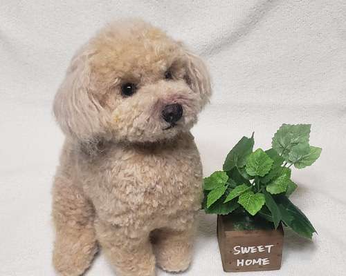 0f4790133fe34f260fd09180837b5a