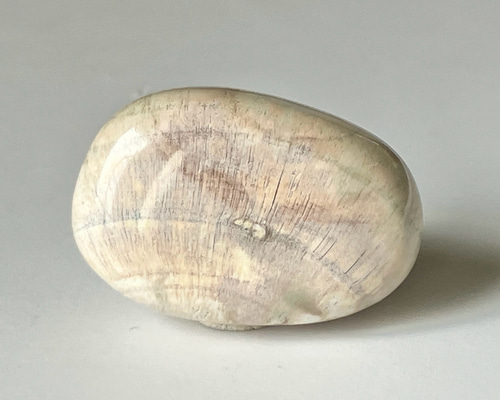 4173004879988d299202c94316b970