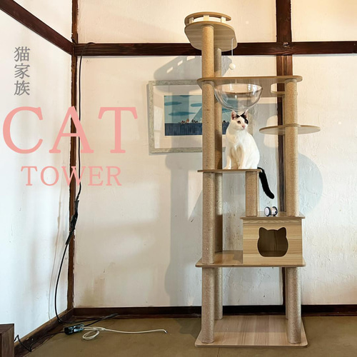 キャットタワー 木製 宇宙船カプセル 大型猫 据え置き型 多頭飼い